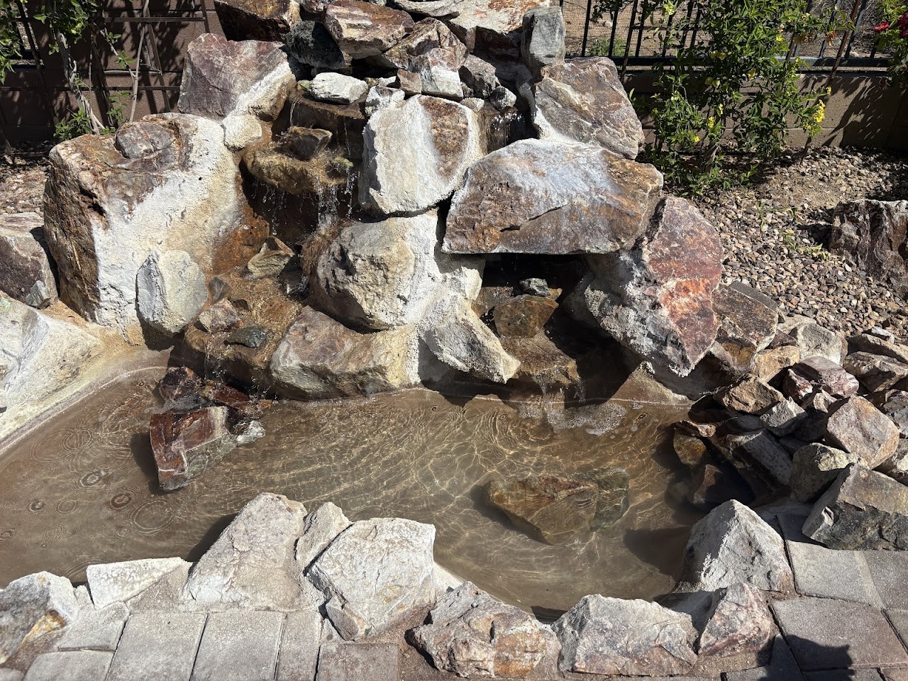 Arizona Pool & Pond Company project